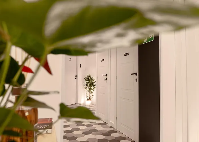 招待所 Flora 罗马