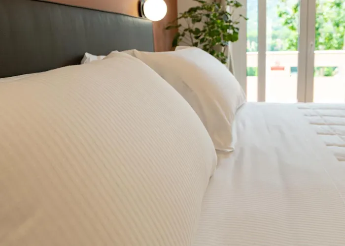 招待所 Flora 罗马